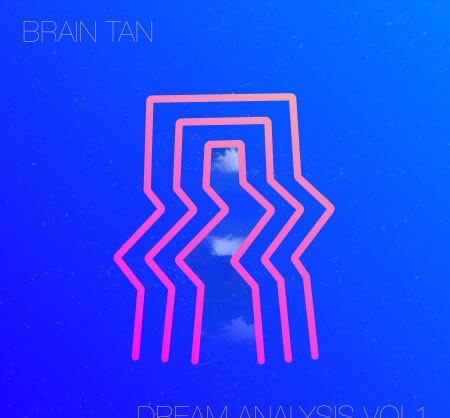 RARE Percussion Brain Tan Dream Analysis Vol.1 WAV